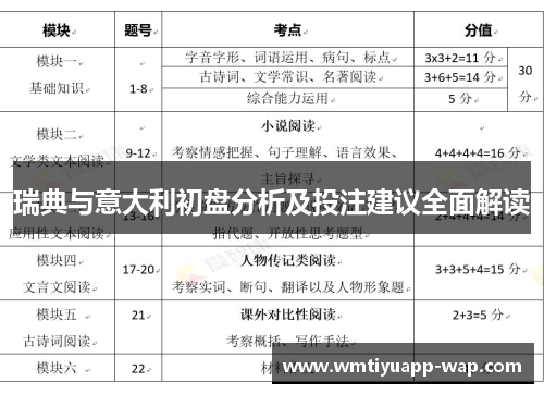 瑞典与意大利初盘分析及投注建议全面解读
